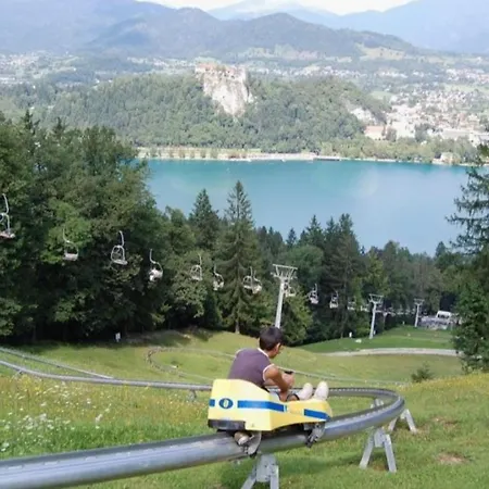 Апартаменты Karin Блед