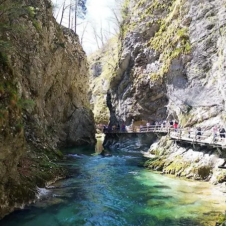 아파트 Karin 블레드