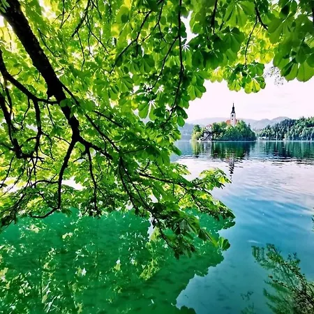 아파트 Karin 블레드