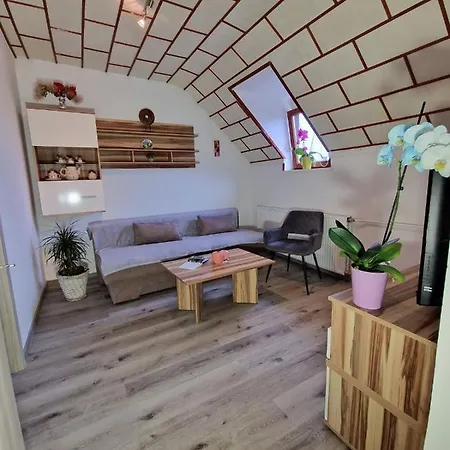 Apartament Karin Bled