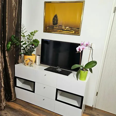 Karin Apartment Bled