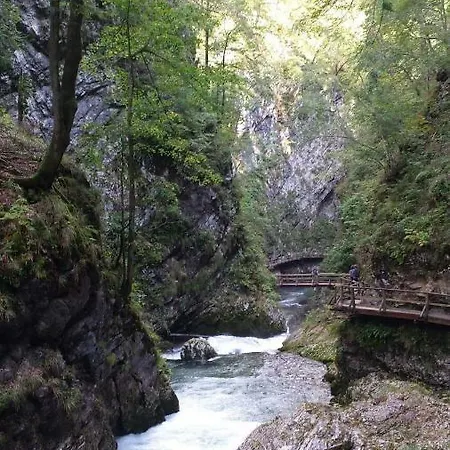 Karin Апартаменты Блед