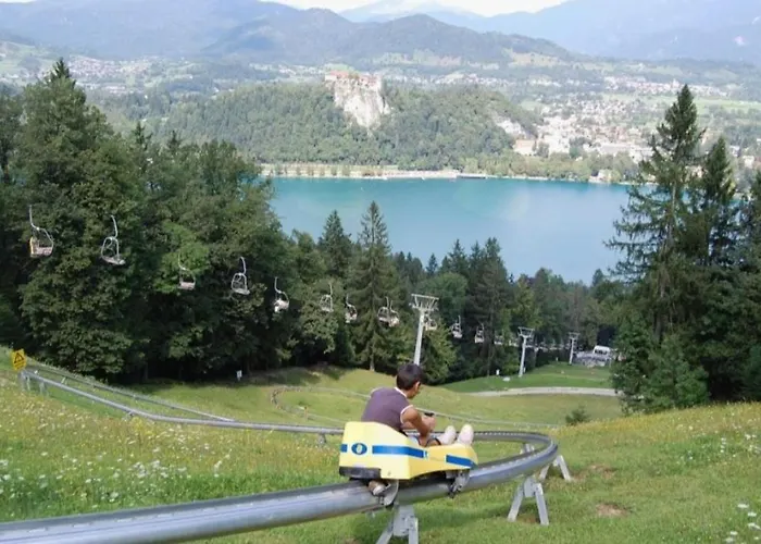 公寓 Karin 布莱德