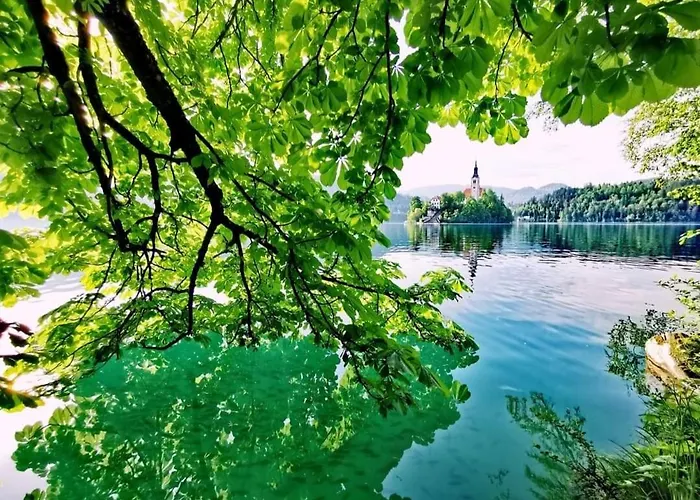 公寓 Karin 布莱德