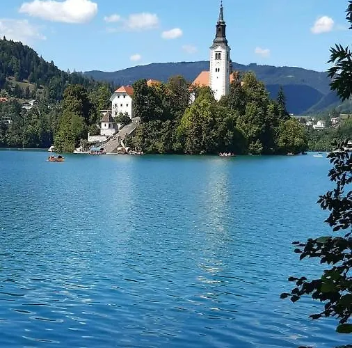 Karin 公寓 布莱德