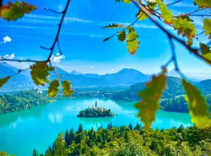 公寓 Karin 布莱德