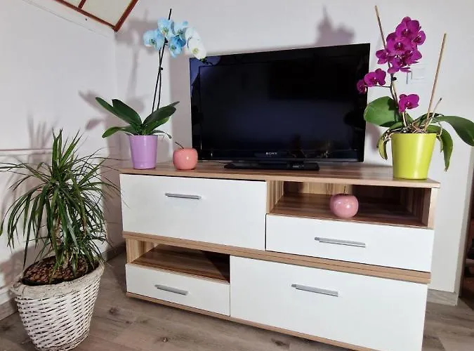 Apartment Karin Bled