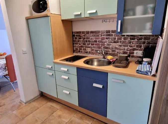 公寓 Karin 布莱德