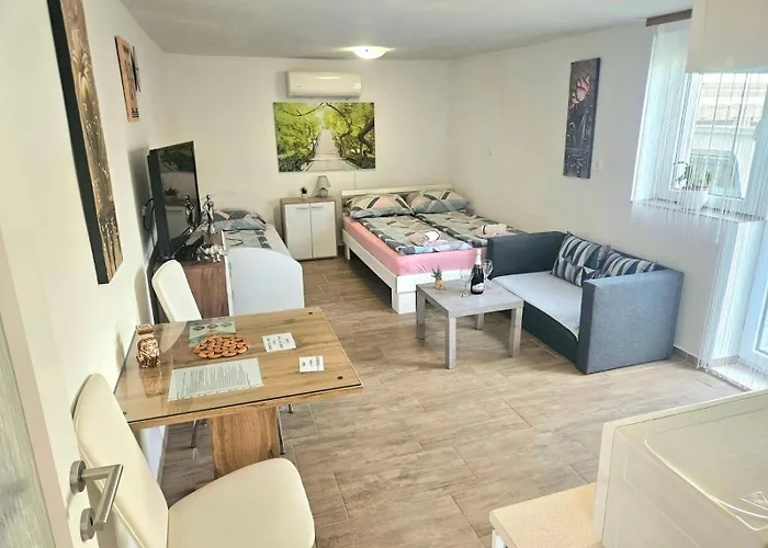 公寓 Karin 布莱德