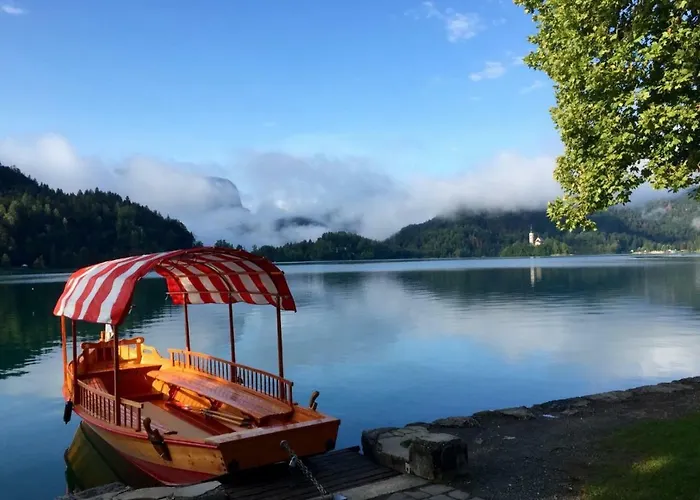 公寓 Karin 布莱德